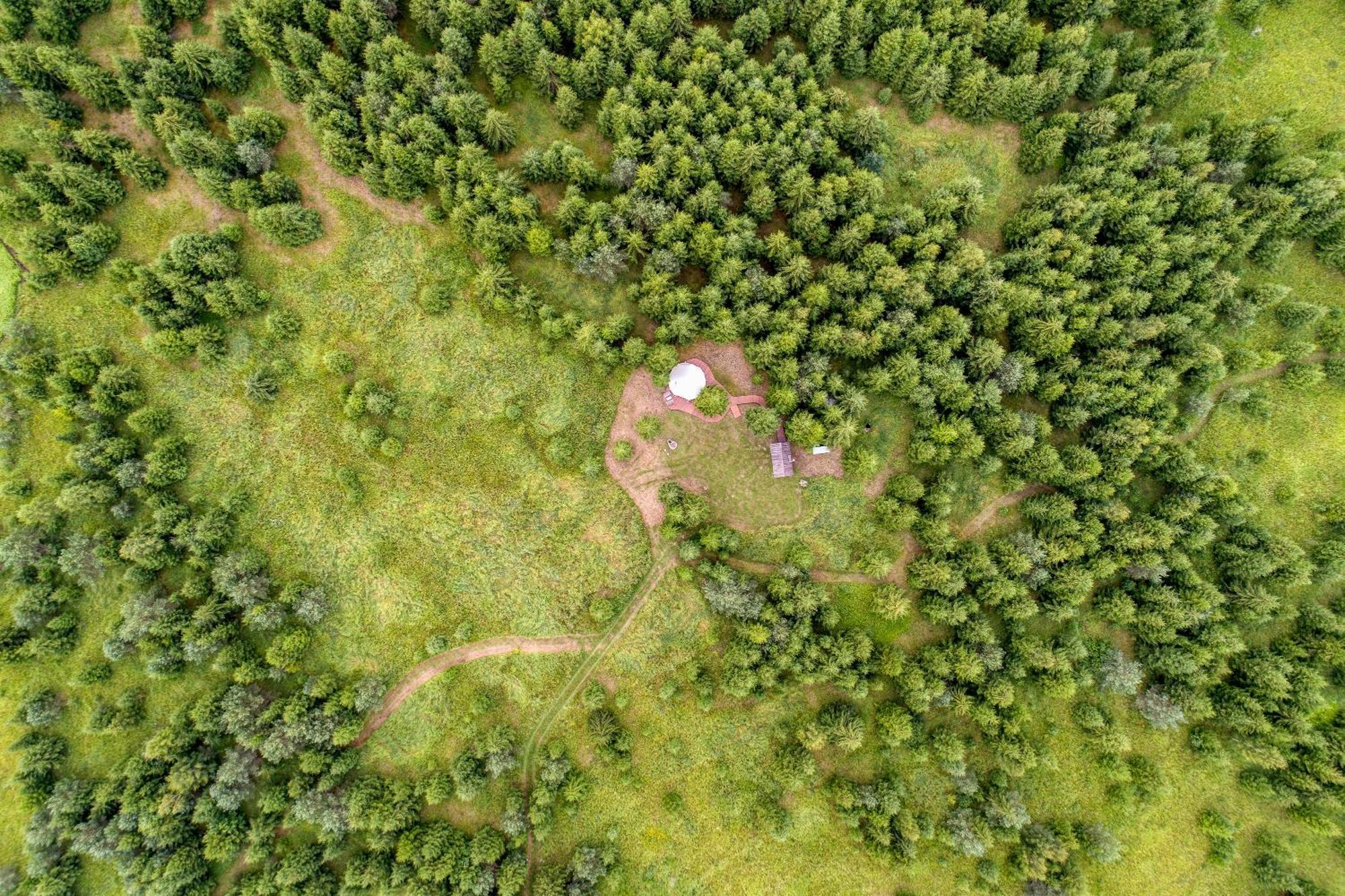 Kuusehaldja Glamping Hotel Kohila Kültér fotó